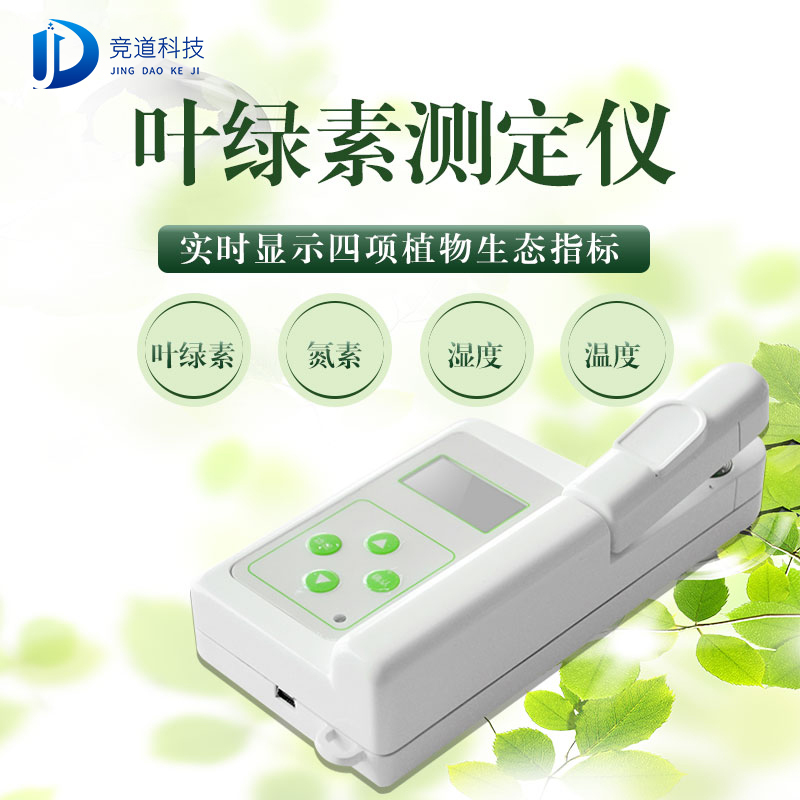 Ҷ����:ֲ��ĳ�ʦ